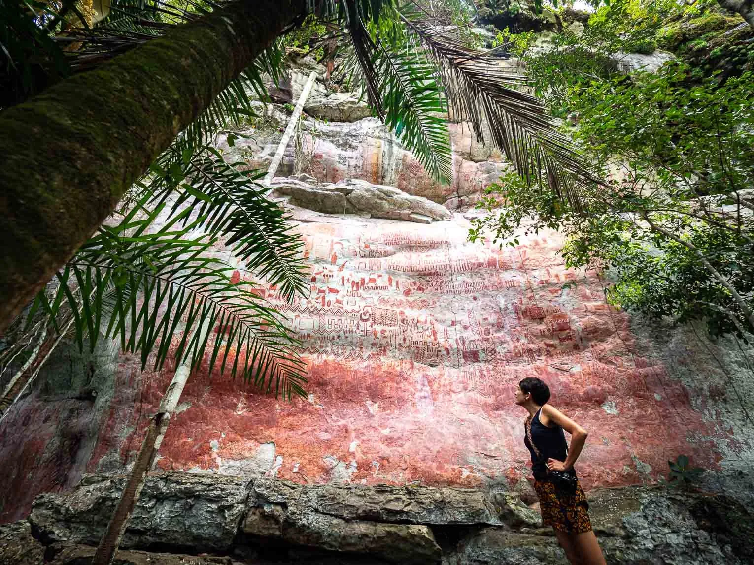 Cerro Azul (La Capilla Sixtina del Amazonas) - Guaviare