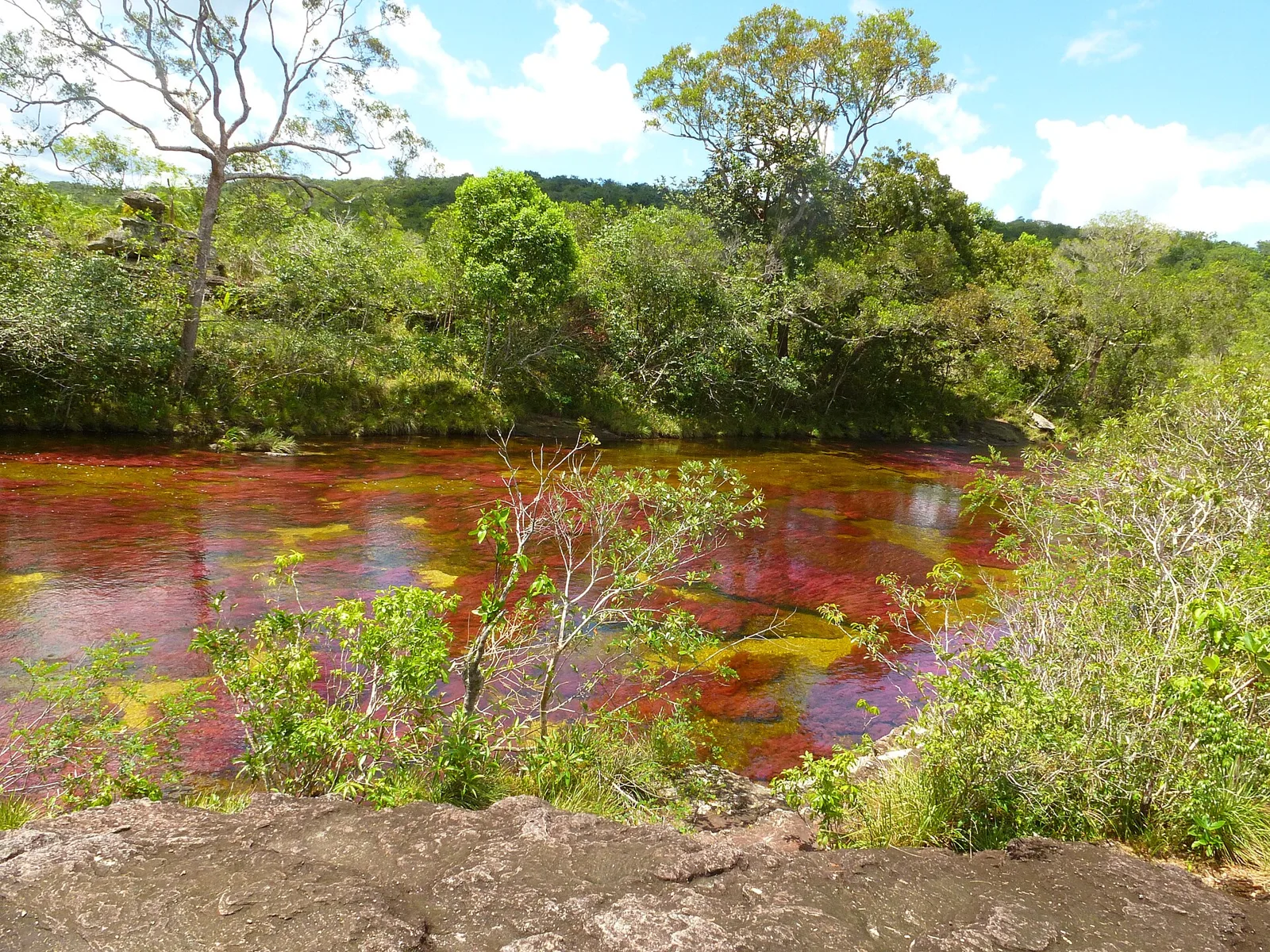 Caño Cristales