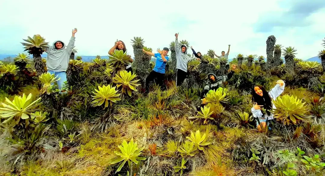 Páramo de Paletará - Valle de los Frailejones