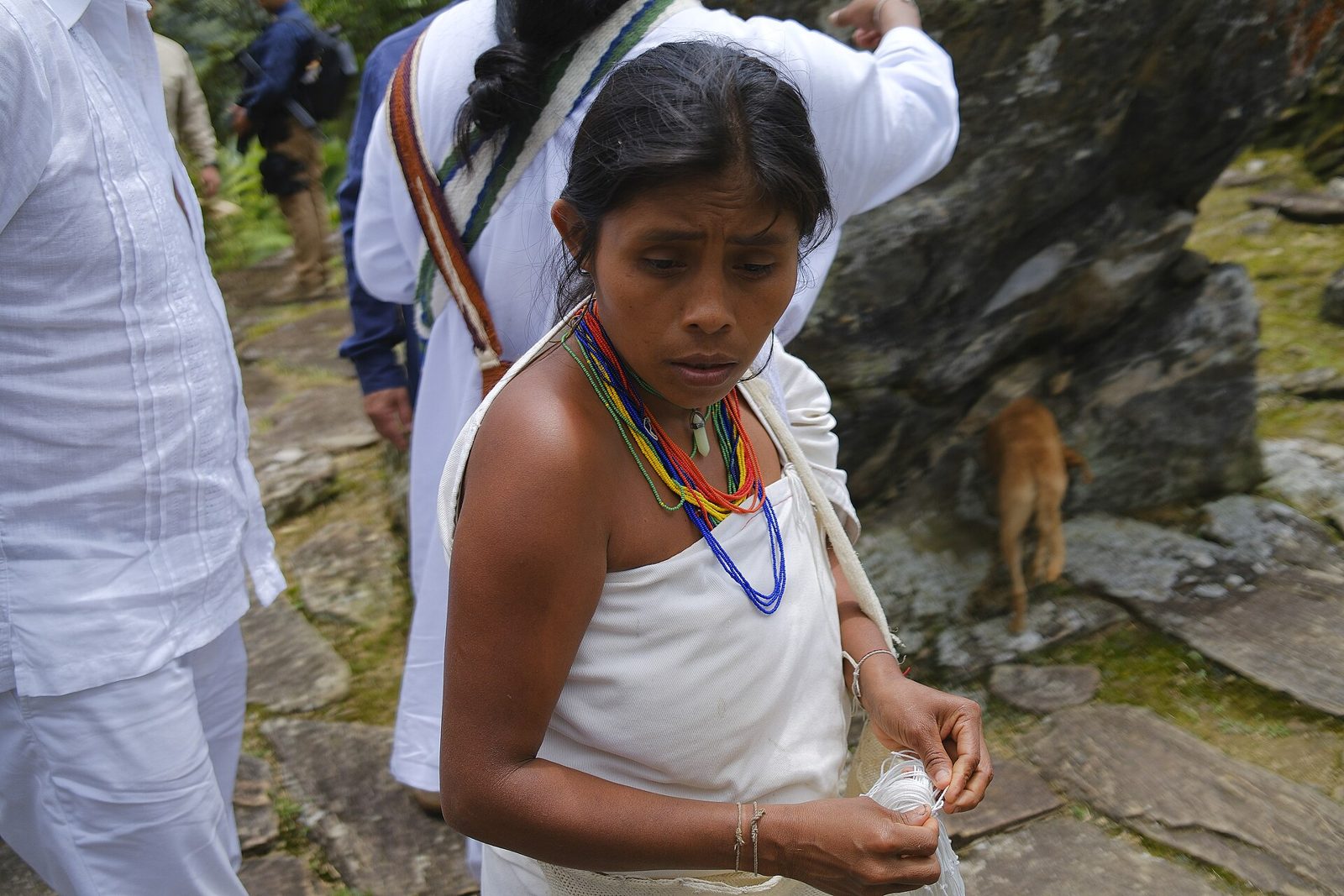 Ciudad Perdida · Plan 5 días - 4 noches