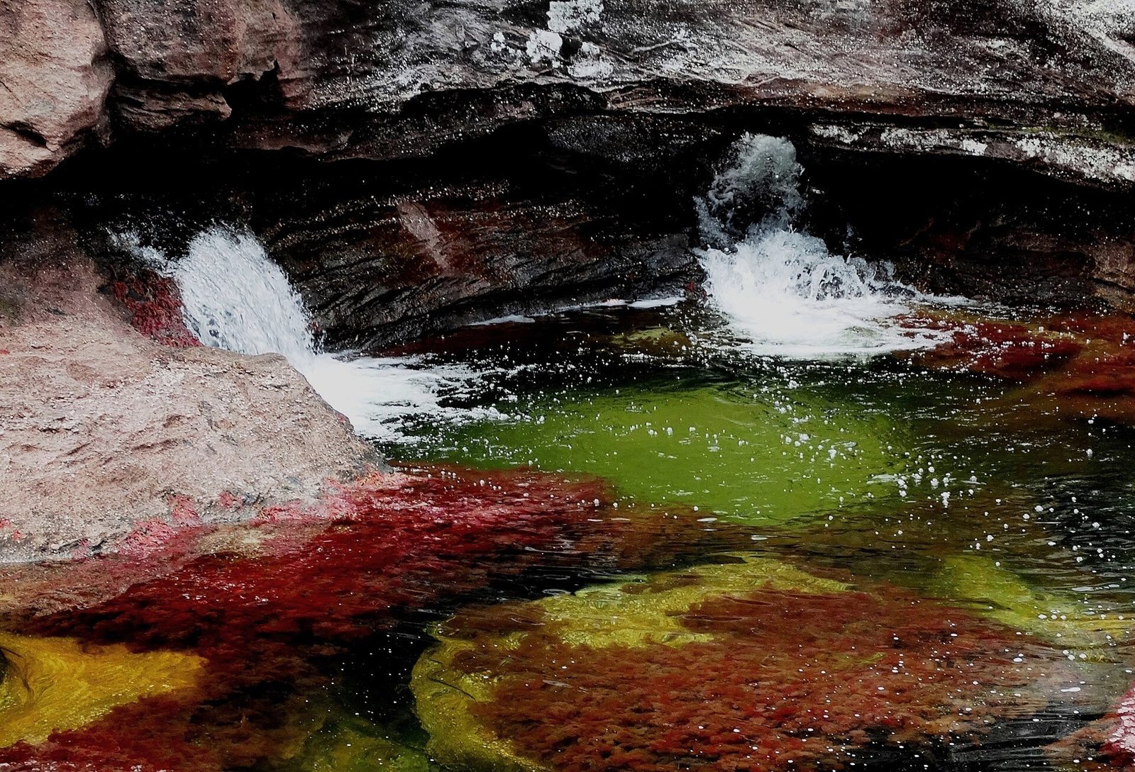 Caño Cristales desde Medellín · 5 días - 4 noches
