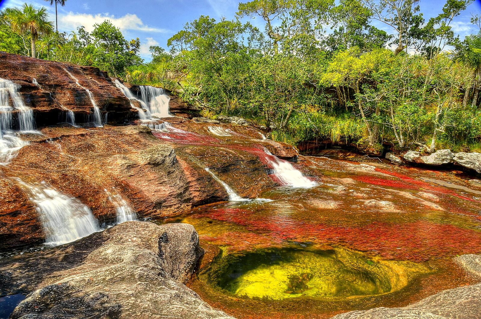 Caño Cristales desde Bogotá · 5 días - 4 noches