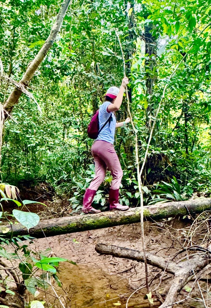 Amazonas