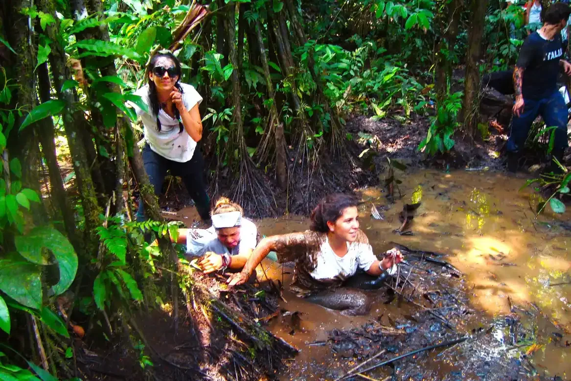 Colegio Colombo Británico — Caminata en la selva (en el aguajal)