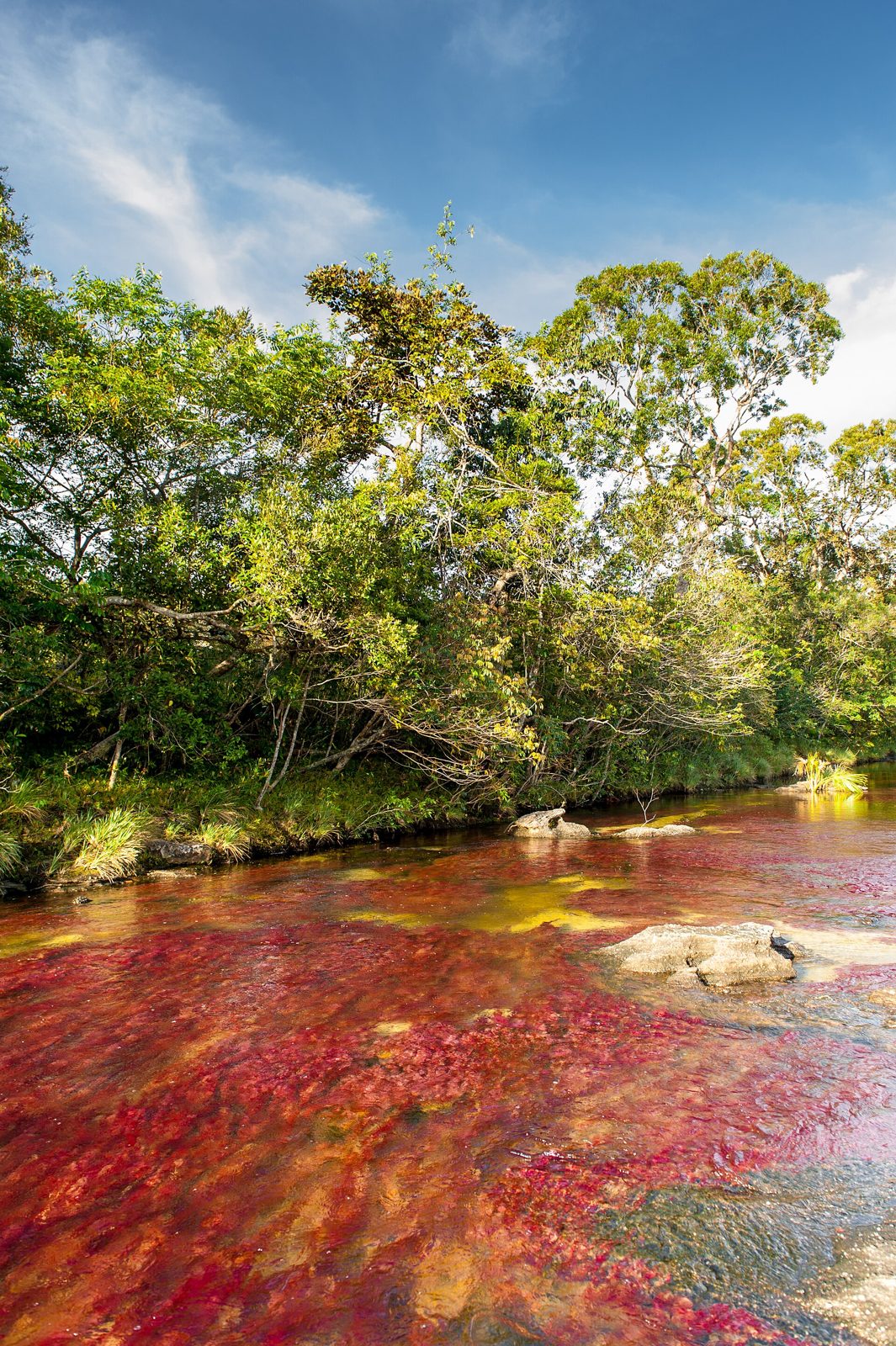 Caño Cristales desde Medellín · 4 días - 3 noches