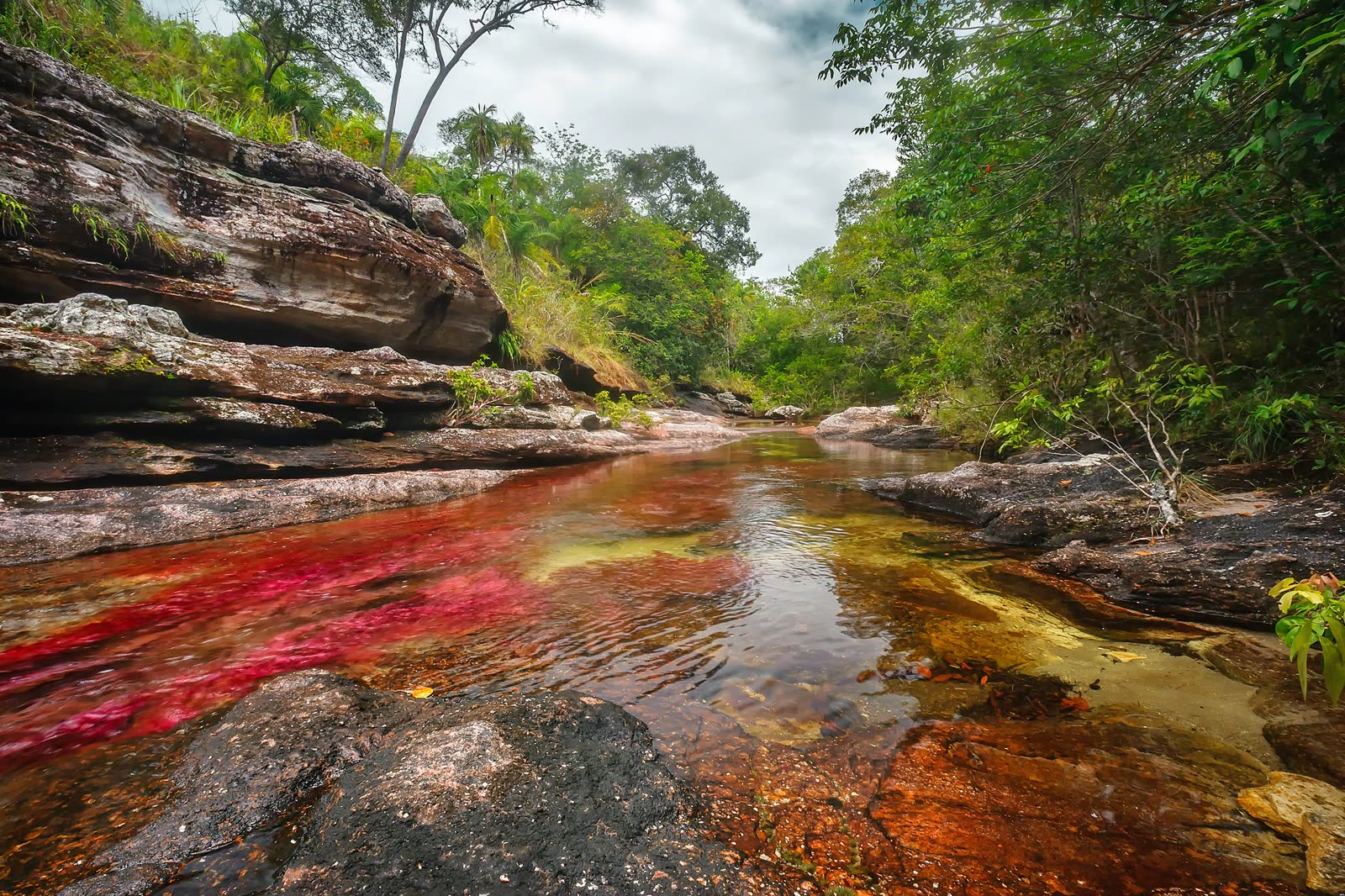 Caño Cristales desde Bogotá – 3 días