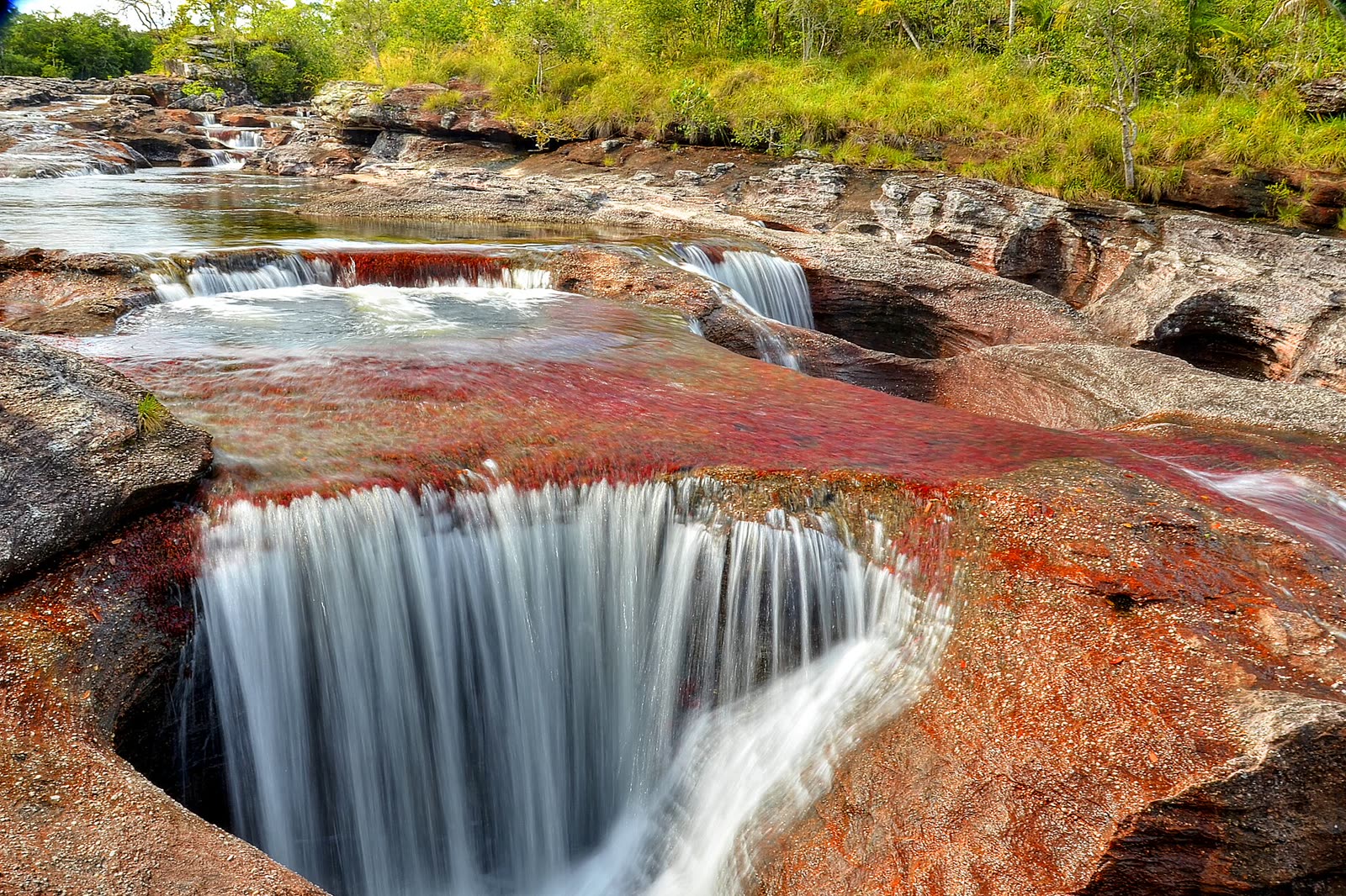 Caño Cristales desde Cali – 5 días