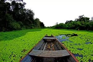 TOUR LETICIA AMAZONAS