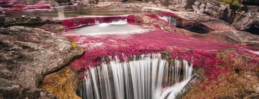 caño cristales turismo
