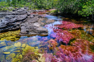 donde queda caño cristales