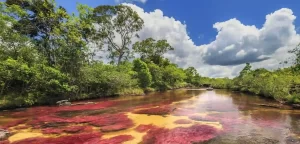 caño cristales turismo