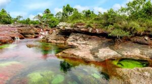 caño cristales colombia como llegar