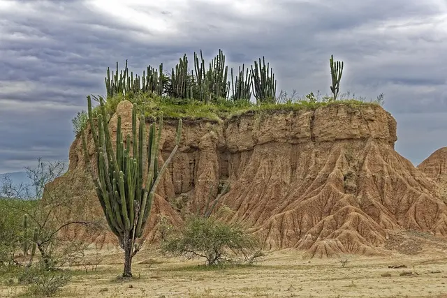 desierto de la tatacoa planes