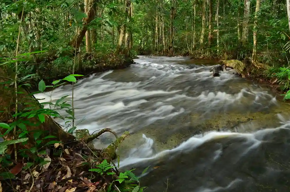 cual es la mejor epoca para viajar al amazonas colombiano