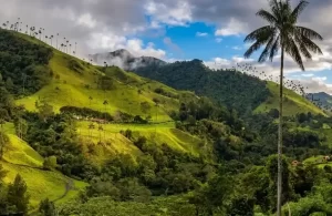 Eje Cafetero, experencia reconocida de la Región Orinoquía.