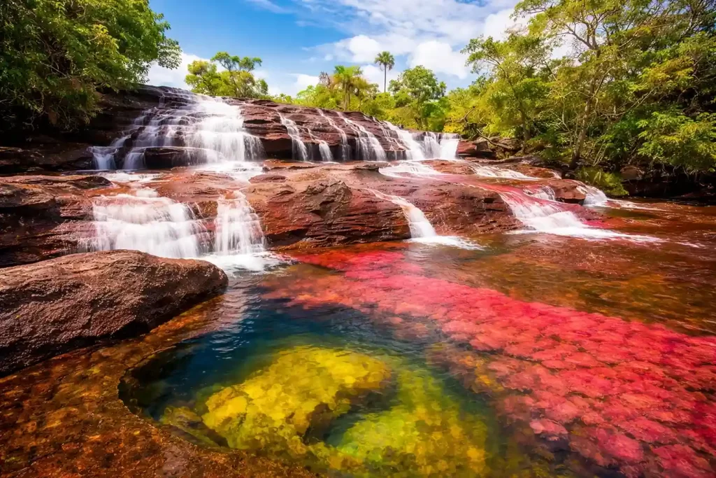 Caño Cristales tour, uno de los mejores lugares para visitar en Colombia por su biodiversidad y ríos de colores.