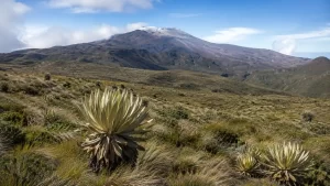 Volcán Puracé, Colombia