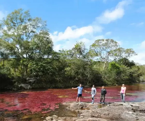 Cristales New 4_11zon