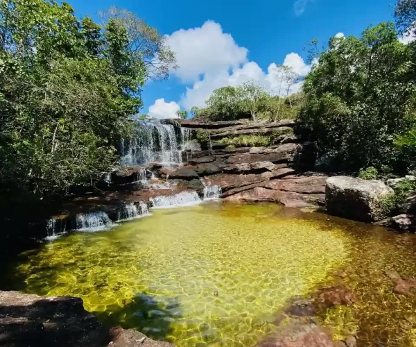 Cristales New 7_11zon