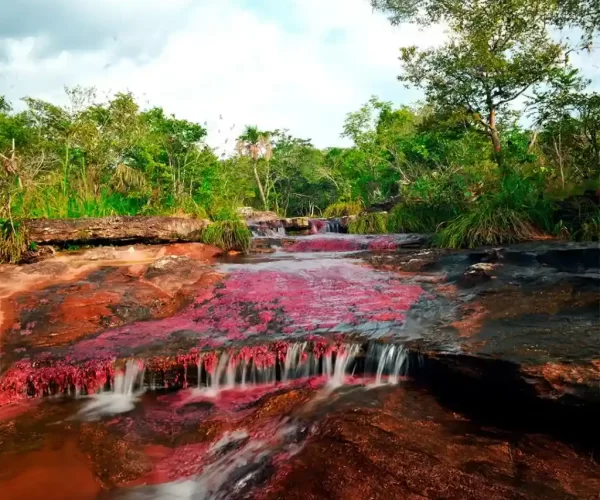 Cristales New 8_11zon