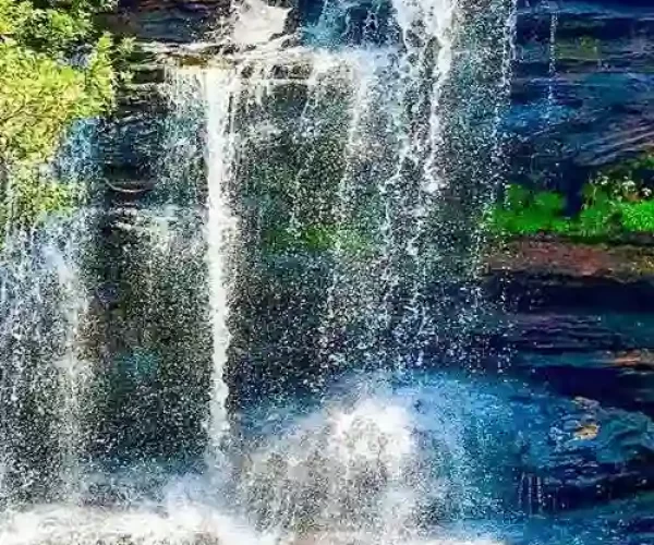 EColombia_Tours-Banner-Vertical-Cano-cristales1