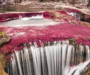 caño cristales turismo