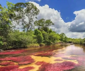 caño cristales turismo