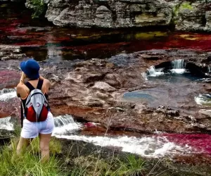 Caño Cristales Tour